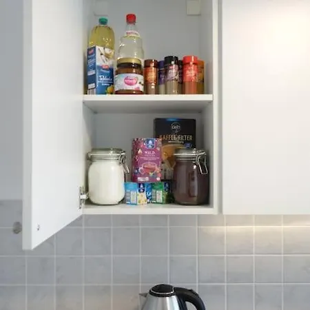Cosy Apt. W/ Spacious Kitchen&netflix In Neustadt Apartment *