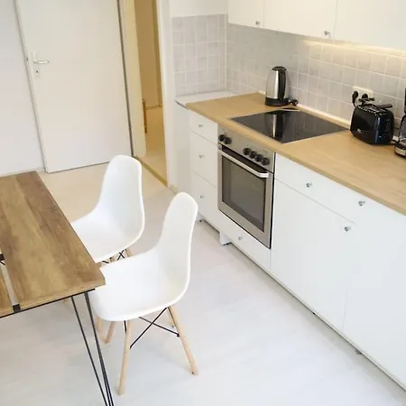 Cosy Apt. W/ Spacious Kitchen&netflix In Neustadt Apartmán Drážďany